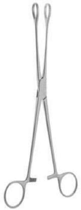 Sponge Holding Forceps SS (8 INCH )