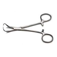Towel Forceps Backhaus SS (5.5 INCH )