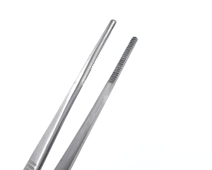 Dissecting Forceps SS Plain (6 inch )