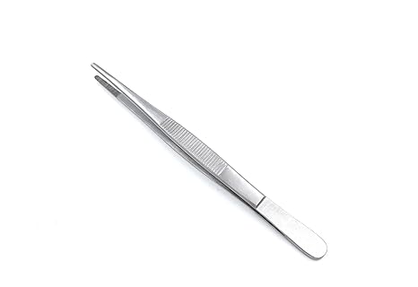Dissecting Forceps SS Plain (6 inch )