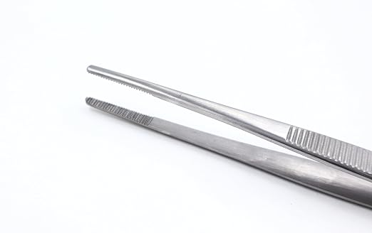 Dissecting Forceps SS Plain (6 inch )
