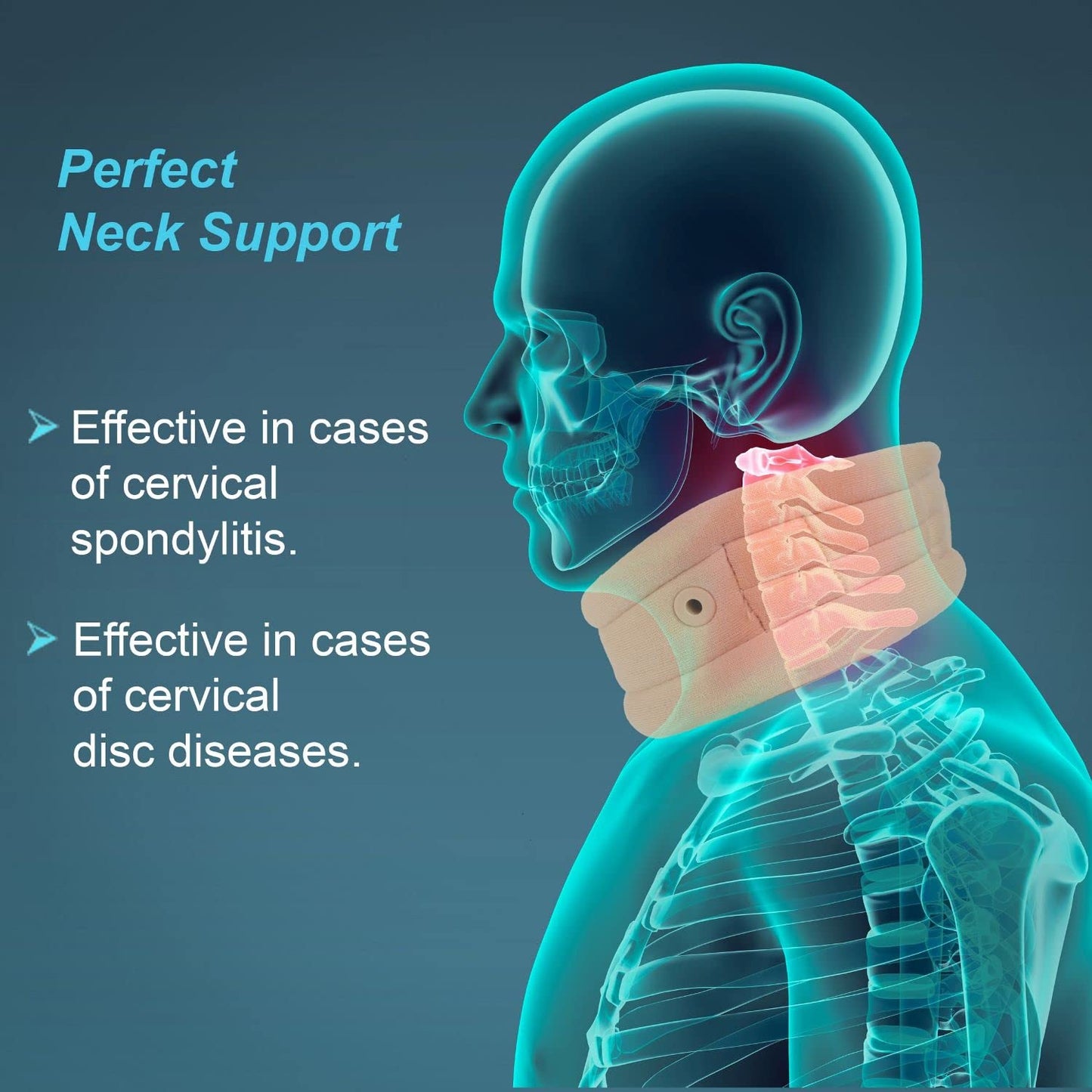 Tynor Cervical Collar Soft with Support B02