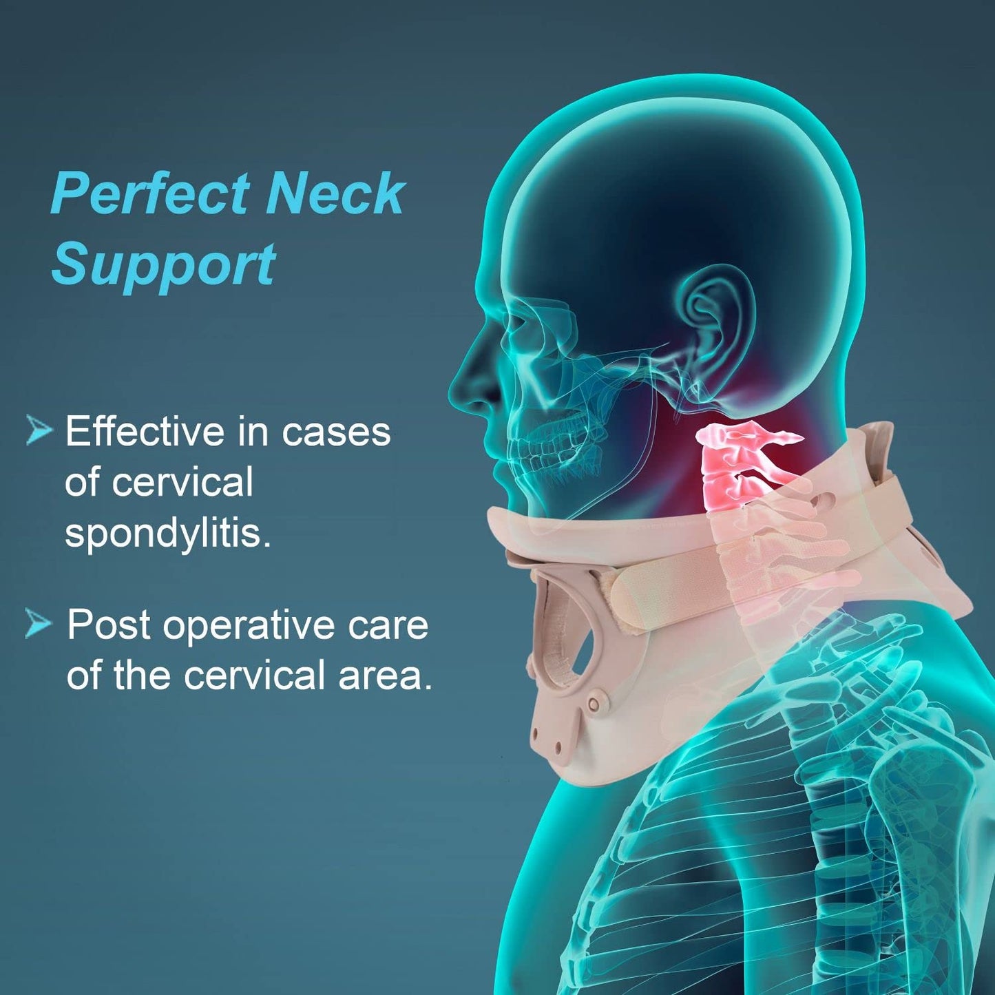 Tynor Cervical Orthosis (Philadelphia) Plastazote B10