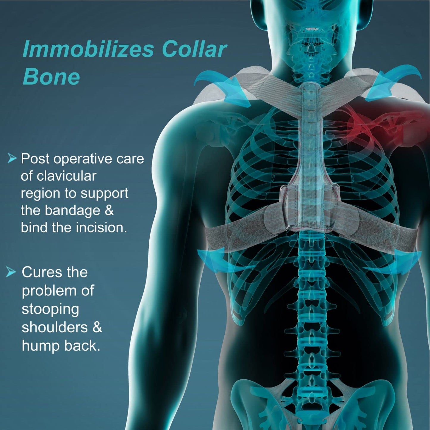 Tynor Clavicle Brace C05
