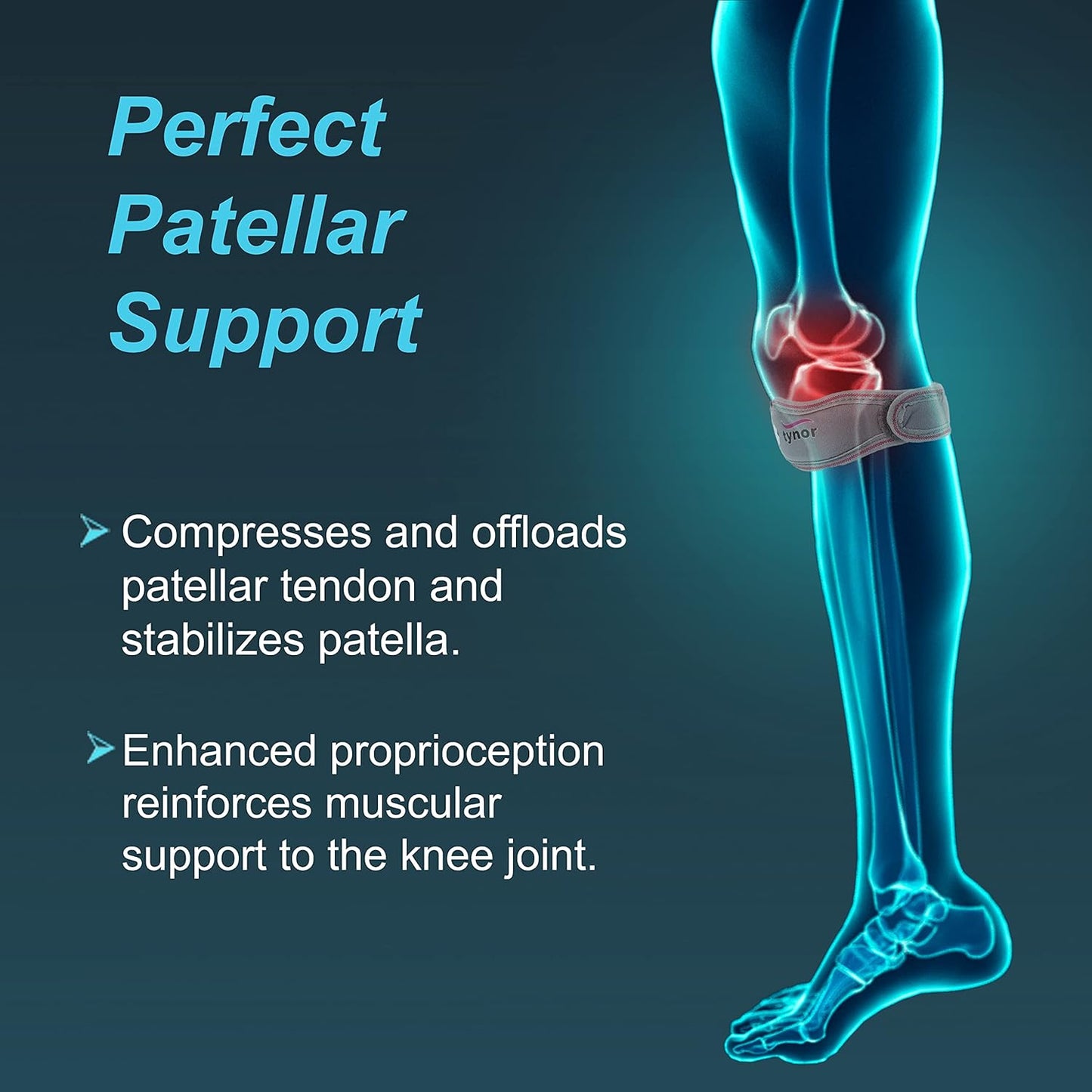 Tynor Patellar Support UN D19