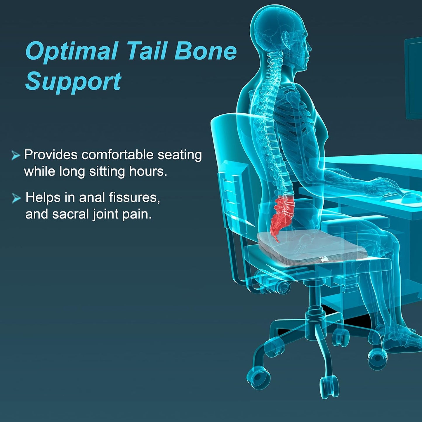 Tynor Coccyx Cushion Seat UN H13