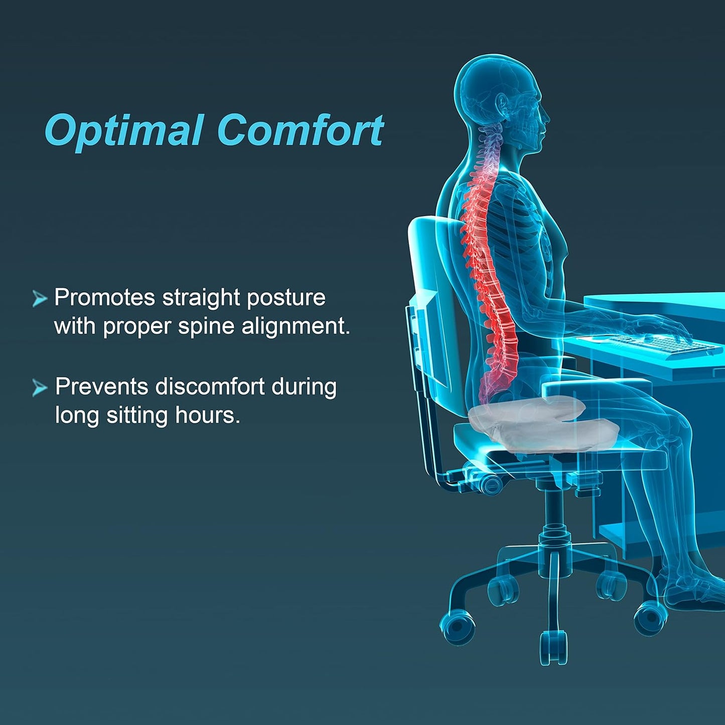 Tynor Ortho Cushion Seat UN H23