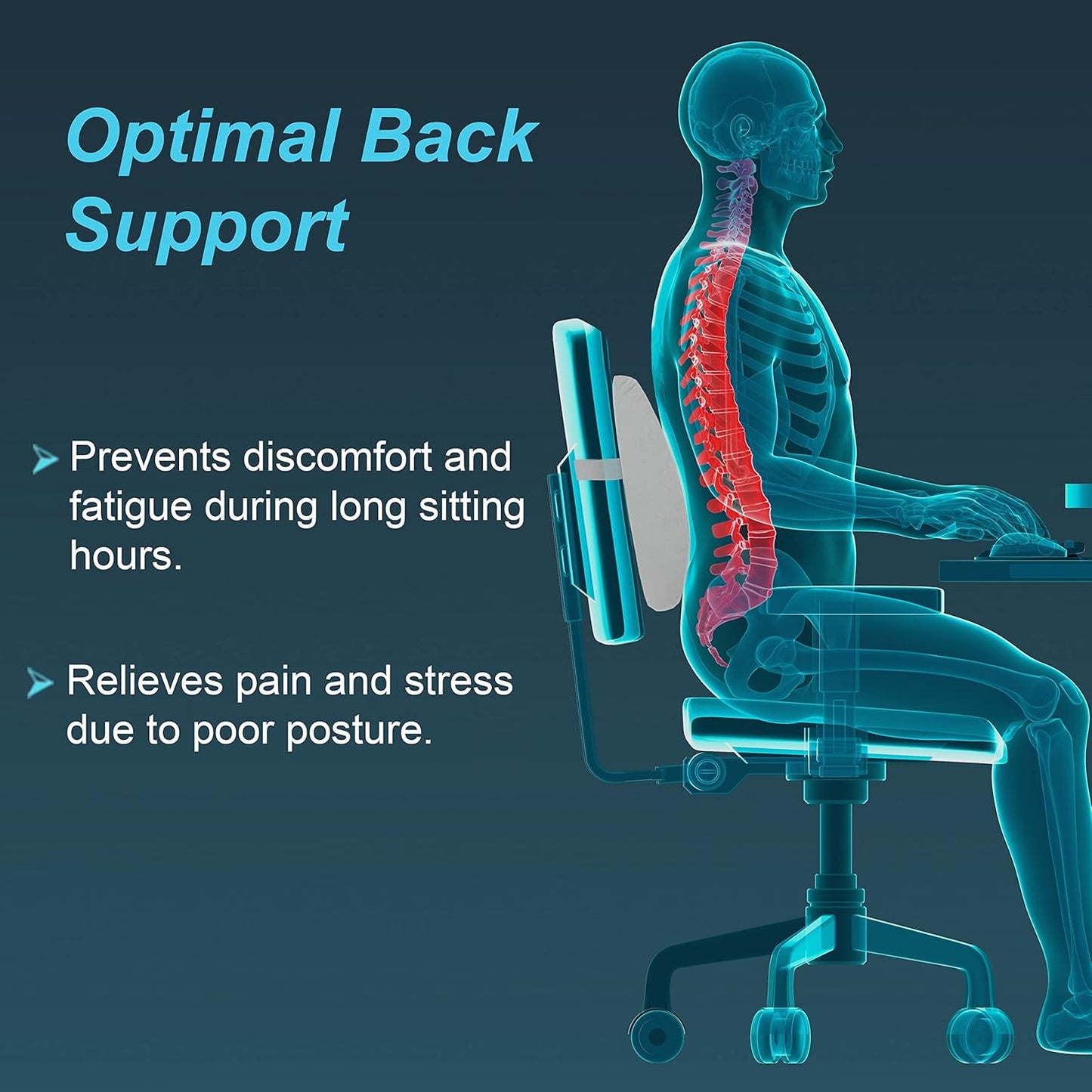 Tynor Lumbo-back rest UN I 91