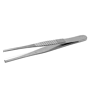 Dissecting Forceps Tooth SS (6 INCH)