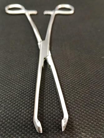 Allis Tissue Forceps SS (8 INCH)